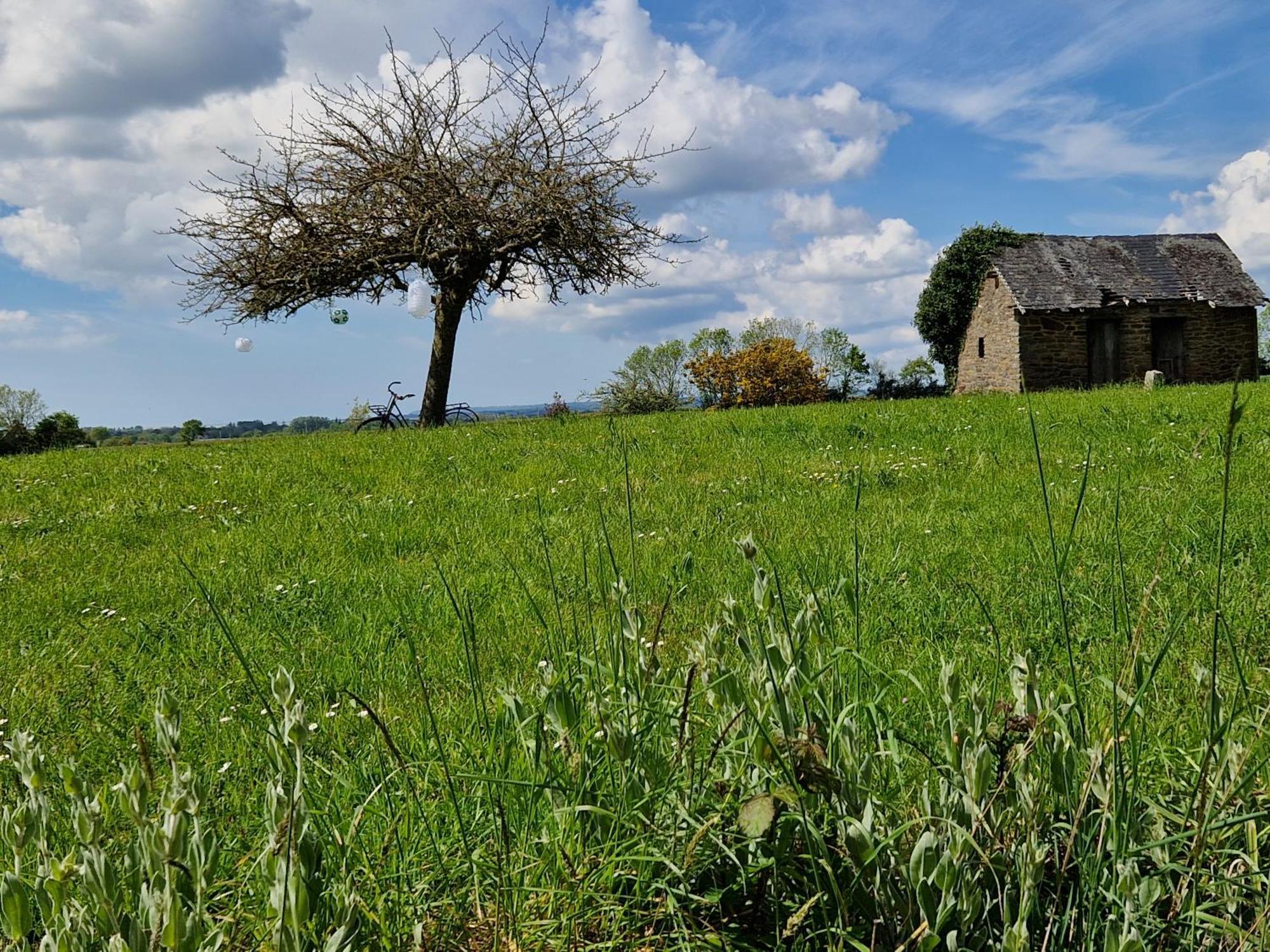 Maison Precey Esterno foto